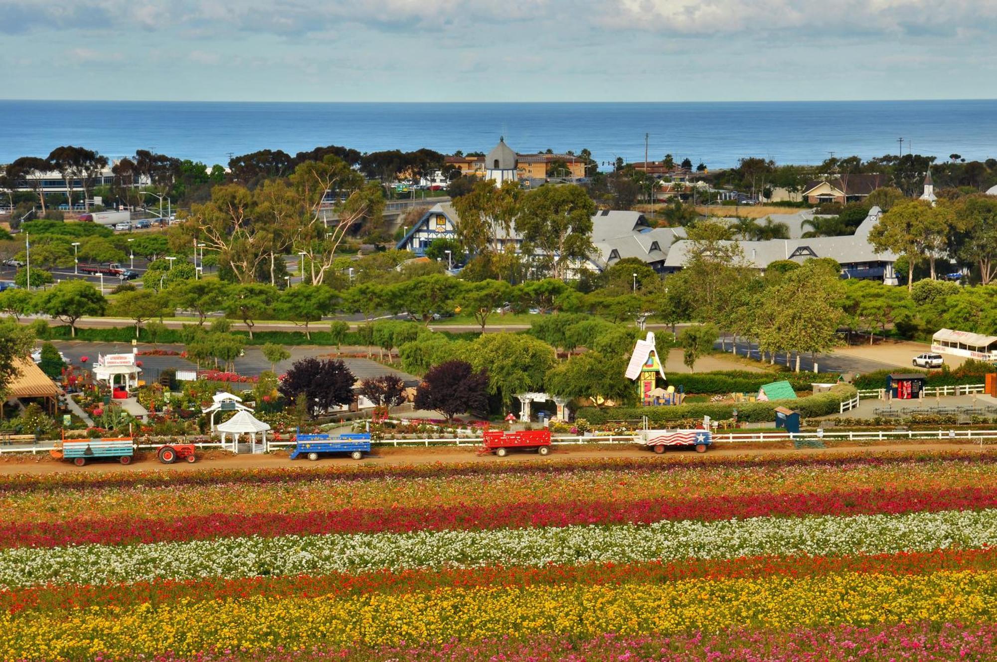 Grand Pacific Palisades Resort Carlsbad Exteriör bild
