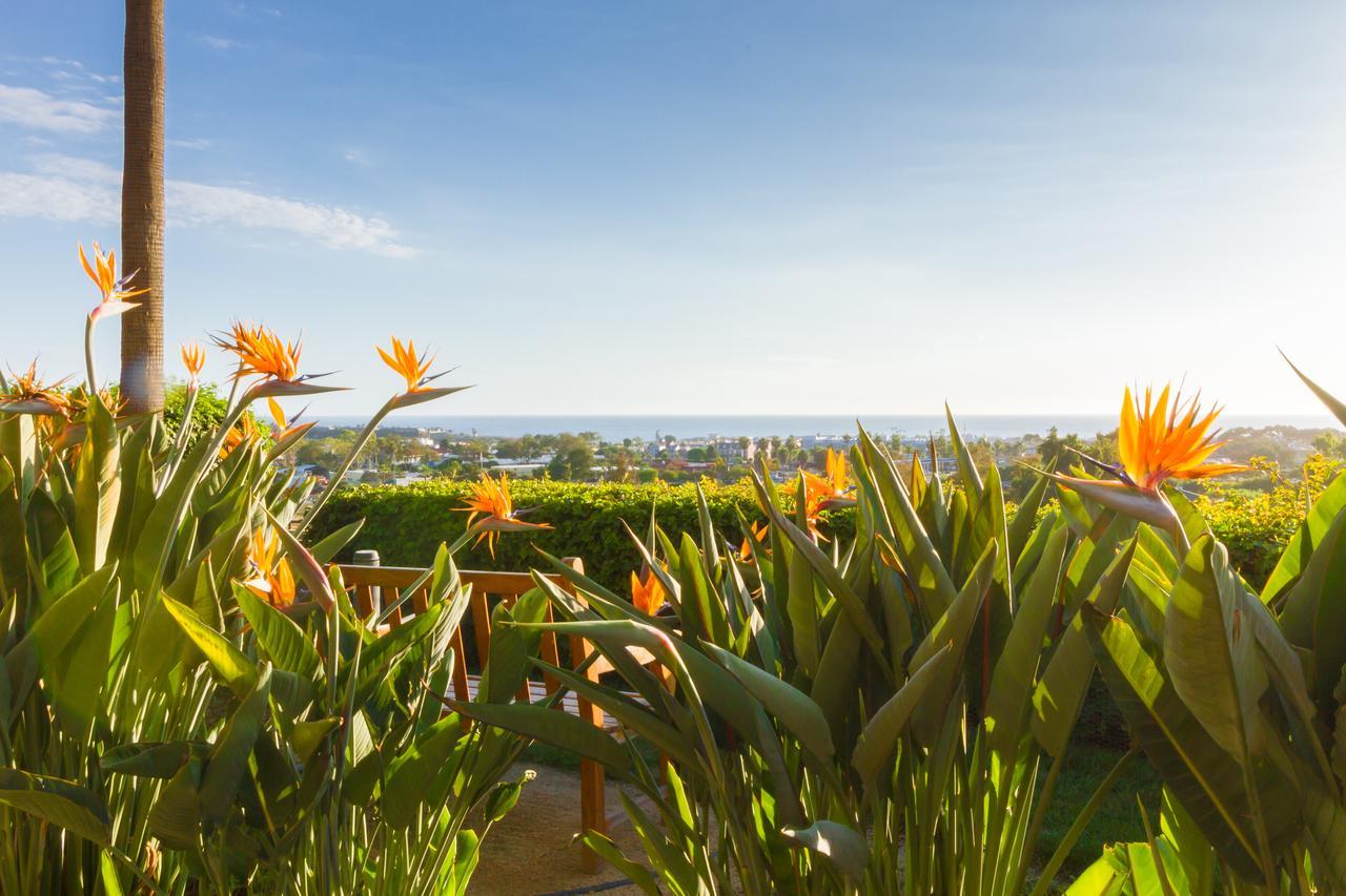 Grand Pacific Palisades Resort Carlsbad Exteriör bild