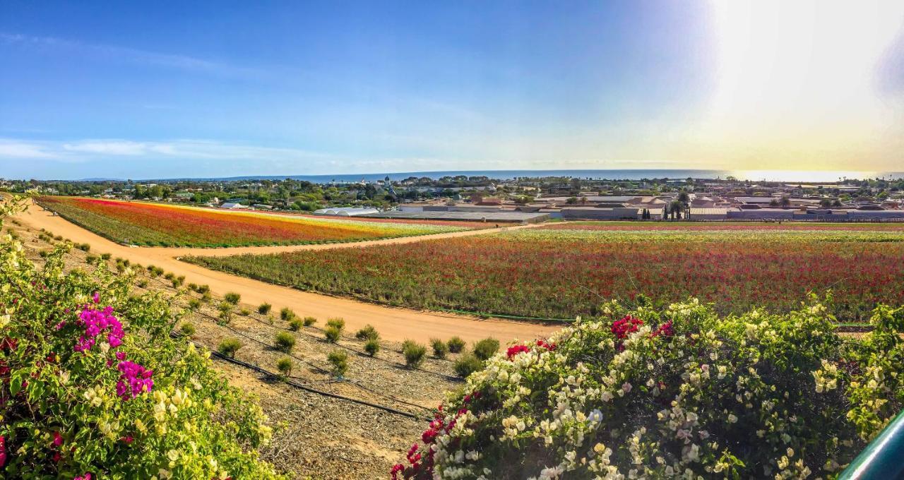Grand Pacific Palisades Resort Carlsbad Exteriör bild